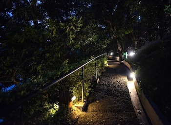 Abad Green Forest