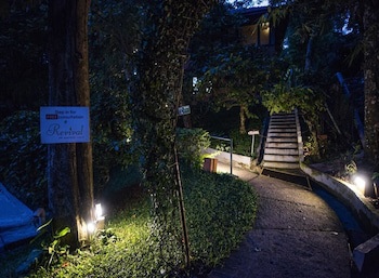Abad Green Forest
