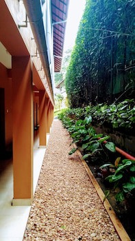 Abad Green Forest