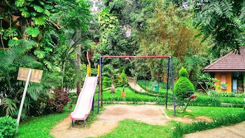 Abad Green Forest