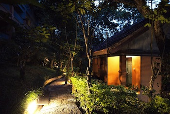 Abad Green Forest