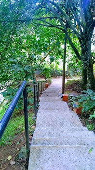 Abad Green Forest