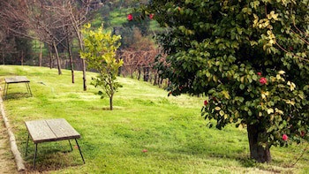 Douro Palace Hotel Resort And Spa