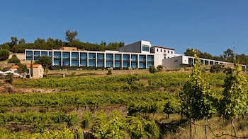 Douro Palace Hotel Resort And Spa