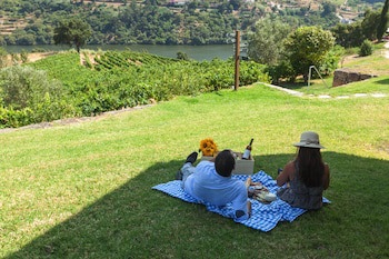 Douro Palace Hotel Resort And Spa