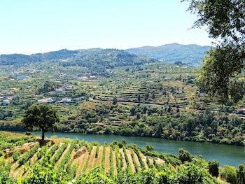 Douro Palace Hotel Resort And Spa
