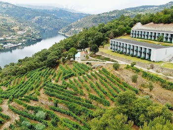 Douro Palace Hotel Resort And Spa