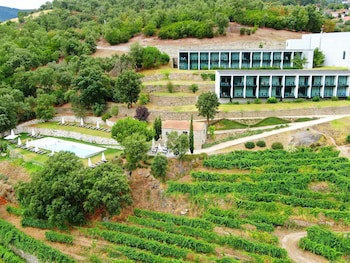 Douro Palace Hotel Resort And Spa