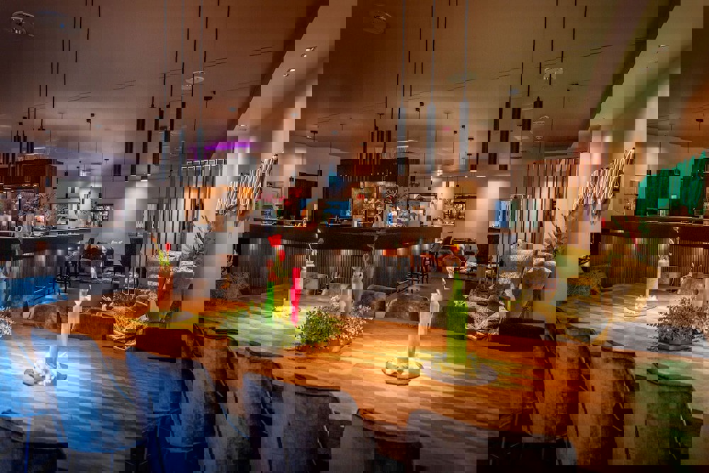 Friendly City Hotel Oktopus