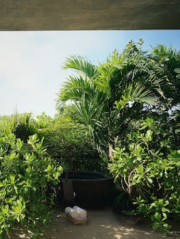 Be Tulum Beach & Spa Resort