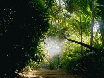 Be Tulum Beach & Spa Resort