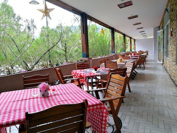 Century Pines Resort