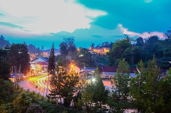 Century Pines Resort