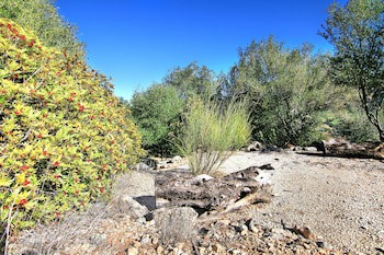 Casa Rural Los Algarrobales