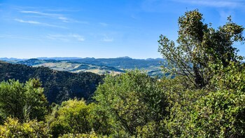 Casa Rural Los Algarrobales
