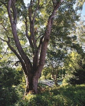 Kokkedal Slotshotel