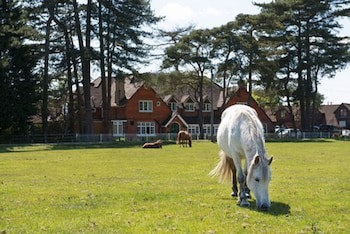 Beaulieu Hotel
