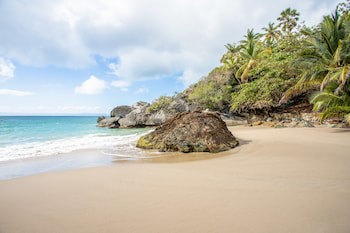 Xeliter Vista Mare