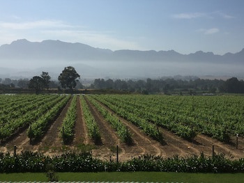 Cana Vineyard Guesthouse