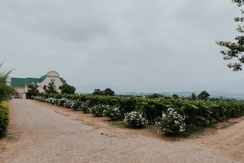 Cana Vineyard Guesthouse