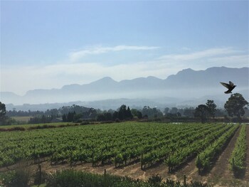Cana Vineyard Guesthouse