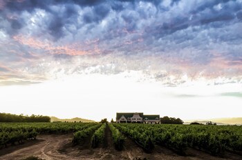 Cana Vineyard Guesthouse
