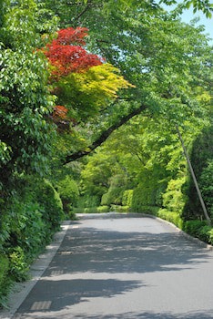 Biwako Hanakaido