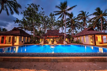 Maui Palms