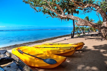Maui Palms
