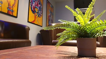 Funk Lounge Hostel