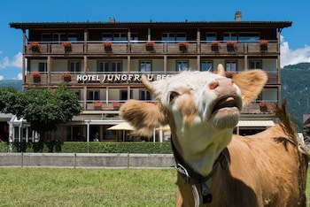 Jungfrau Hotel