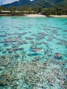 Sanctuary Rarotonga-On The Beach - Adults Only