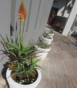 Beachcomber Bay - Guest House