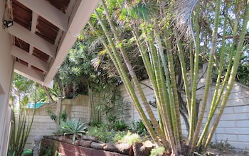 Beachcomber Bay - Guest House