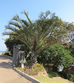 Beachcomber Bay - Guest House