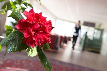 Best Western Hotell Lerdalshoejden