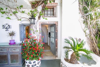 Alexander's Suites