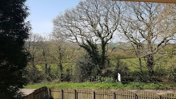 Meadow Oak