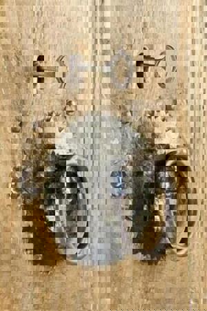 Anemon Kula - Special Class