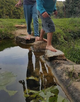 Thunzi Bush Lodge