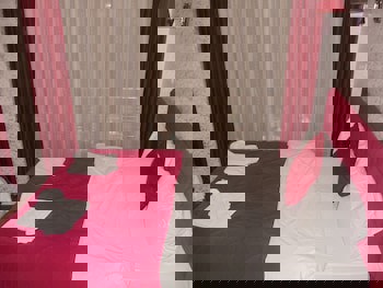 Ares Hotel Sultanahmet