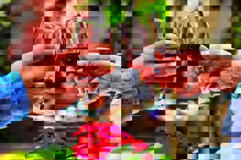 Hotel Kervansaray Canakkale - Special Class