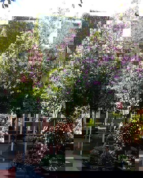 Hotel Kervansaray Canakkale - Special Class