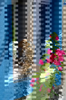 Artunc Boutique Hotel