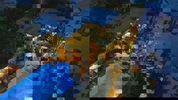 Artunc Boutique Hotel