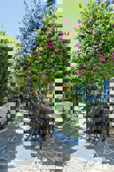 Artunc Boutique Hotel