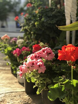 Artunc Boutique Hotel