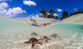 Erakor Island Resort & Spa
