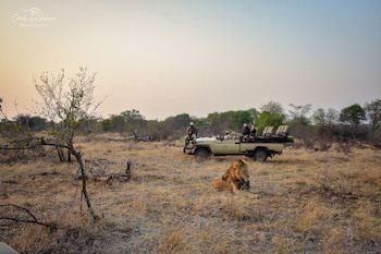 Mohlabetsi Safari Lodge