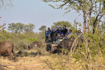 Mohlabetsi Safari Lodge